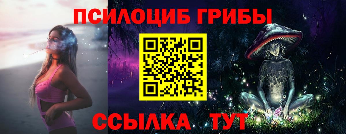 Новосибирск  Псилоцибиновые грибы MAGIC MUSHROOMS  Вход с VPN 